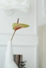 Listwa ścienna MDD332 biała wym. 200 x 1.7 x 4.1 cm, z ProFoam