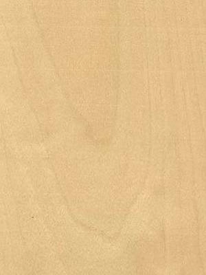 Listwa przypodłogowa fornirowana nielakierowana CP80 R25 (240 cm x 8 cm x 1,8 cm) brzoza